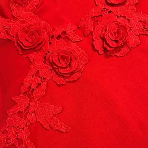 Windsor Scarlet Lace Detail Mini Dress - Picture 6 of 7